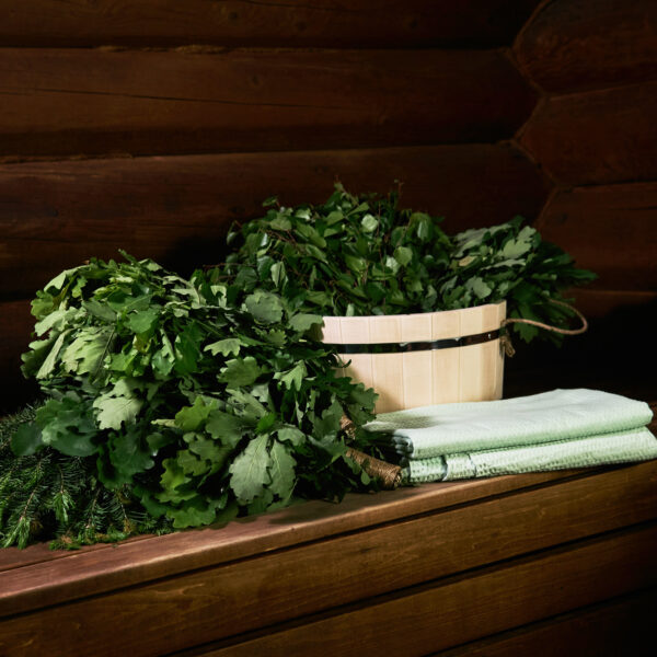birch-sage